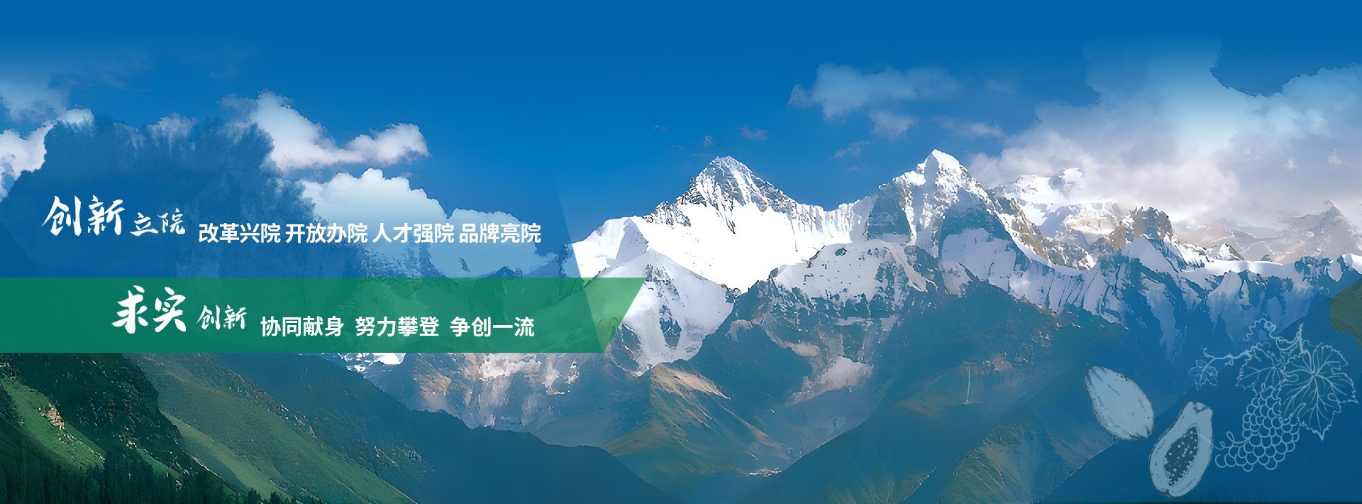 党建动态